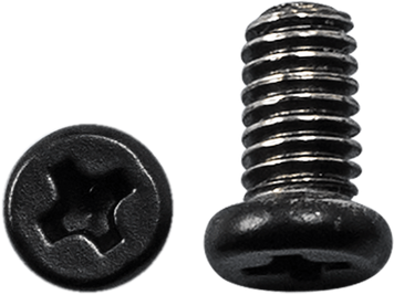 LS2 SCREWS RATCHET FF352/384 8002102 фото